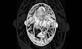 create detailed dark illustration