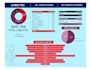 do comprehensive net worth calculation with detailed charts
