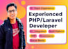 lead laravel project, PR code reviews for website and API