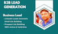 web research, targeted b2b lead generation, data entry