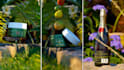 design natural 3d product animation with plants