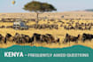 provide professional services from kenya