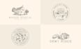 design custom hand drawn house logo