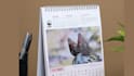 design professional wall calendar , desk calendar