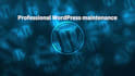 provide one month website maintenance
