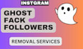 remove instagram ghost fake bot followers and do unfollow manually