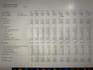 do business consultancy, budgets, analysis, excel sheets