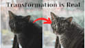 colourgrade and make your picture interesting