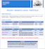 do a website design audit and social media review