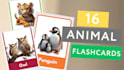 create flash cards and facts cards on any niche