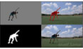 do high end vfx rotoscoping and chroma keying for film, ads and video