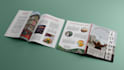 design a professional magazine and layout