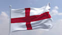 do realistic 3d waving animated flag or logo