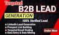 do excel data entry,data mining,b2b lead generation and prospect list building