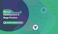 develop and fix bugs of your vuejs reactjs application