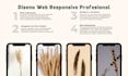 create your responsive website with wordpress and elementor