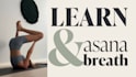 teach yoga, meditation and breathwork