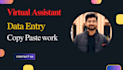do data entry, excel work and virtual assistance