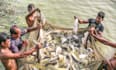 make fishing reels video for you youtube ,fb, tiktok,
