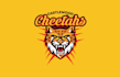 castle wood cheetahs team logo