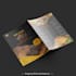 design a professional and eyecatching business flyer in 24 hours