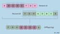 do genetic algorithms, aco, pso optimization in one day