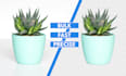 do bulk image background removal, clipping path
