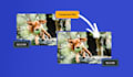 convert or compress your videos and files