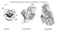 draw a custom ink illustration for you