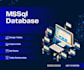 professional asp net API development and database design expert