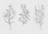 do birth flowers bouquet or bracelet tattoo design