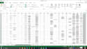 do data entry, copy paste, graphs on excel