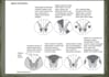assist you in human anatomy and physiology