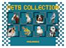 create pixel art portrait of your pet only 24 hours