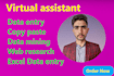 be your professional virtual assistant for any data entry