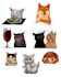 art clipart sticker bundle with pet from photo or descriptions