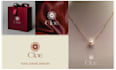 make premium jewelry logo design services for branding excellence
