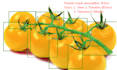 do data labeling with bounding box, polygon image annotation