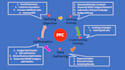 create manage and optimize amazon PPC campaigns amazon ads