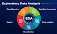 provide insightful eda services for data understanding