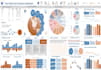 provide expert mis, excel, and google sheets solutions