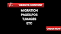 do transfer website and content website export
