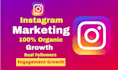 increase social media followers fast