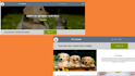 create landing page design , one page websites