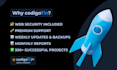 provide maintenance and premium support for your wordpress