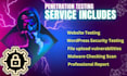do vulnerability and penetration testing with security