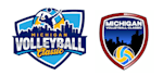 design a professional and beautiful volleyballs logo
