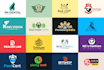 do modern custom logo animation