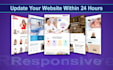 design and develop a professional wordpress business website