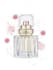 draw fashion perfume illustration